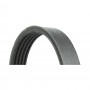 Serpentine belt 6PK1256, OE-Quality